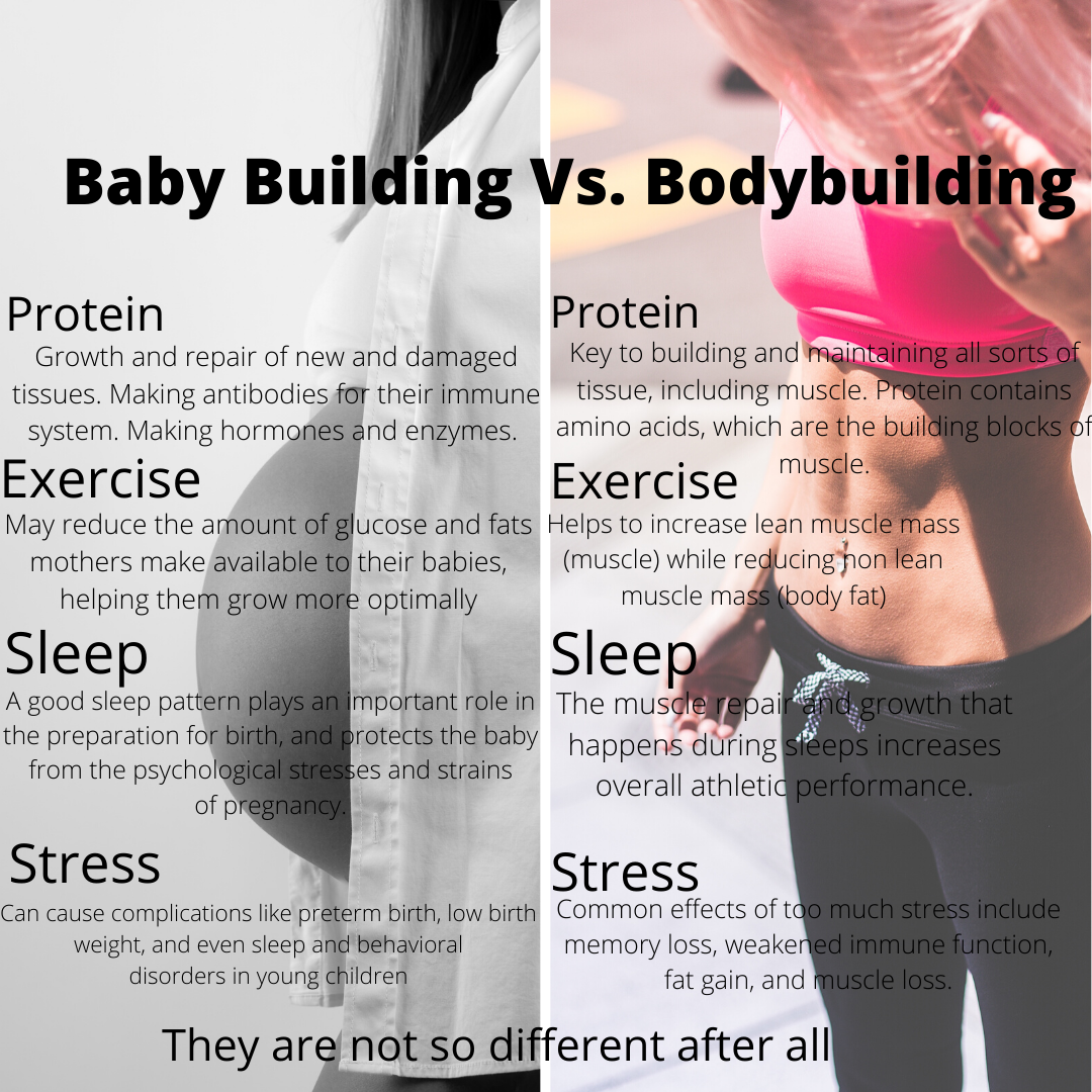 Jessi preg blog 2.PNG