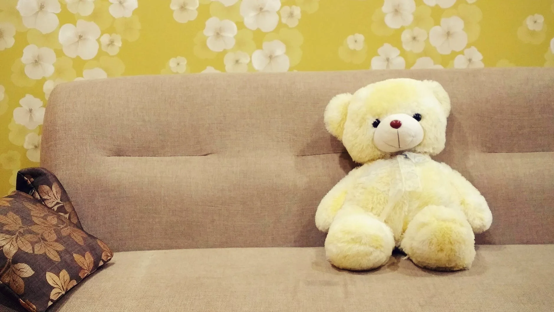 Cleaning Sofa.jpeg