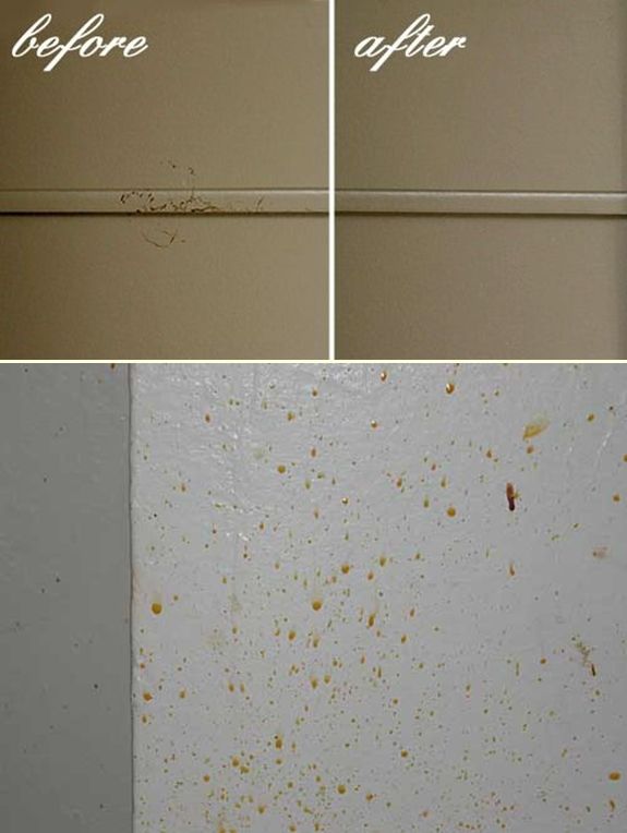 Cleaning And Removing Stains On Your Walls Always Green - How To Clean Food Grease Off Walls
