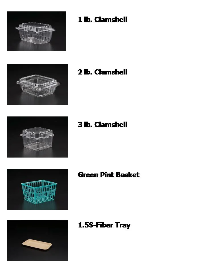 rpi-plastic-1.jpg