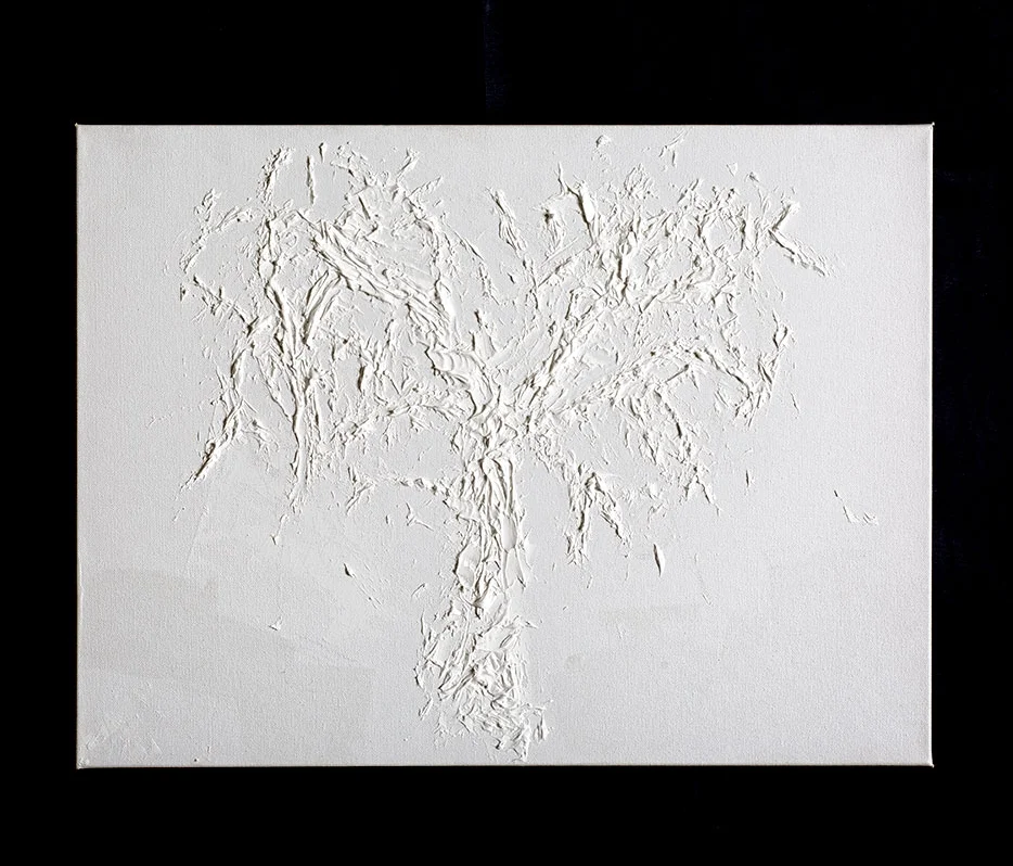 Phoenix Tree, 2016