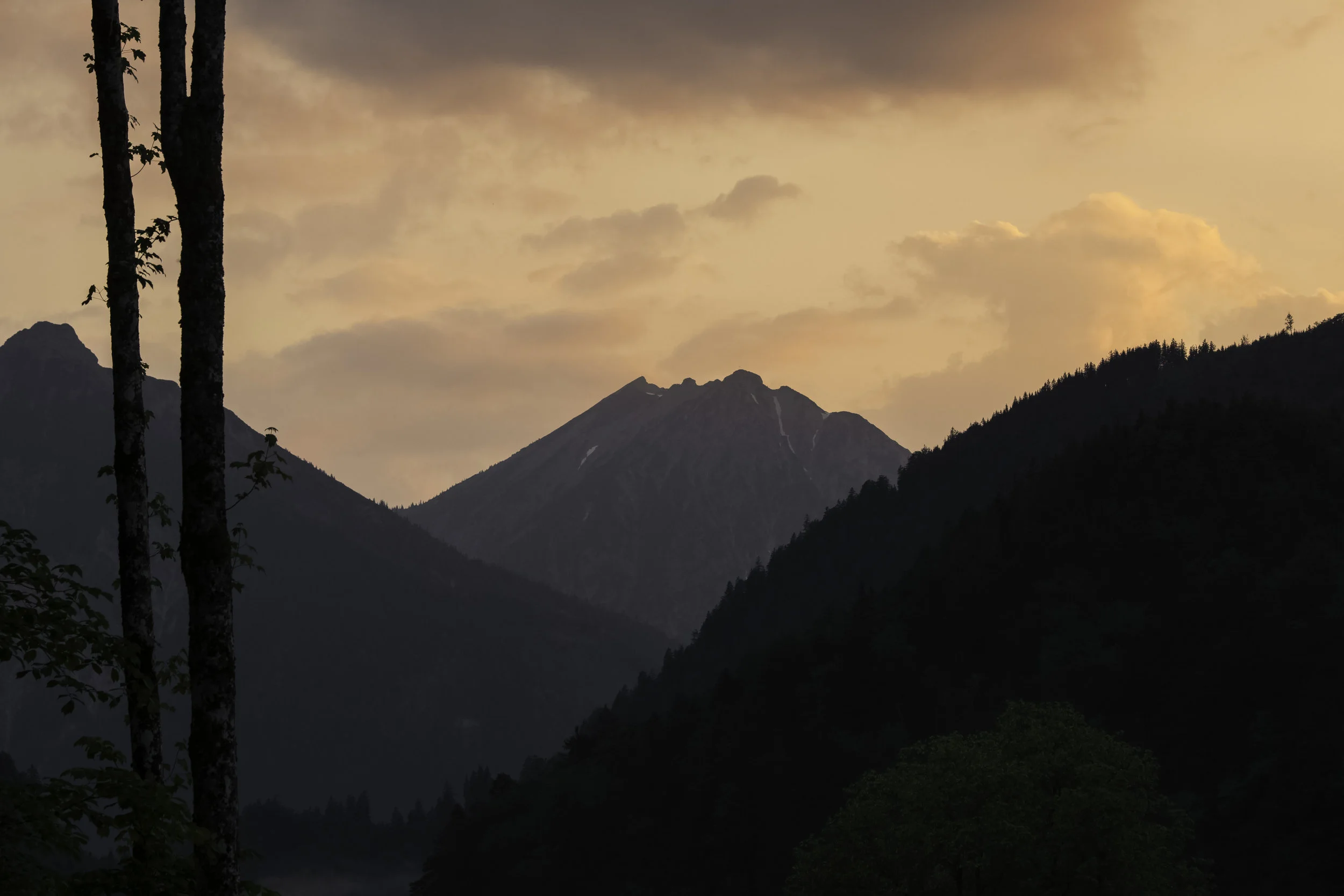 DSC_0318.2.jpg
