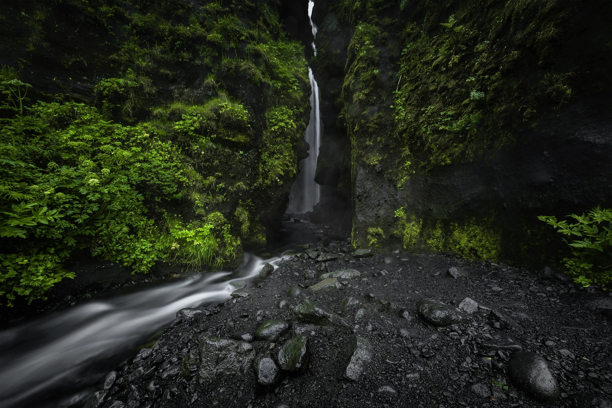 DSC_2029small.jpg