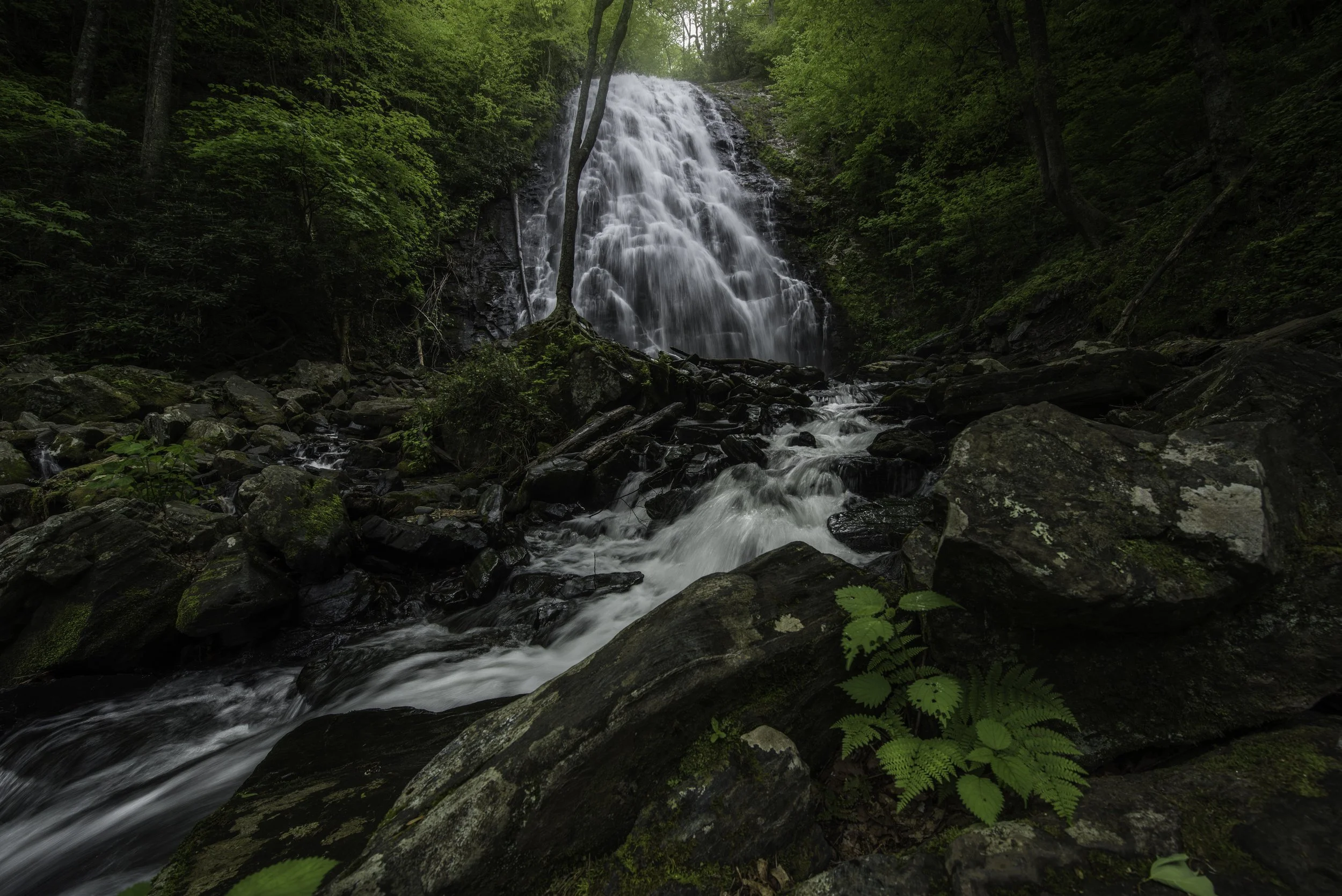DSC_1433-HDR.jpg