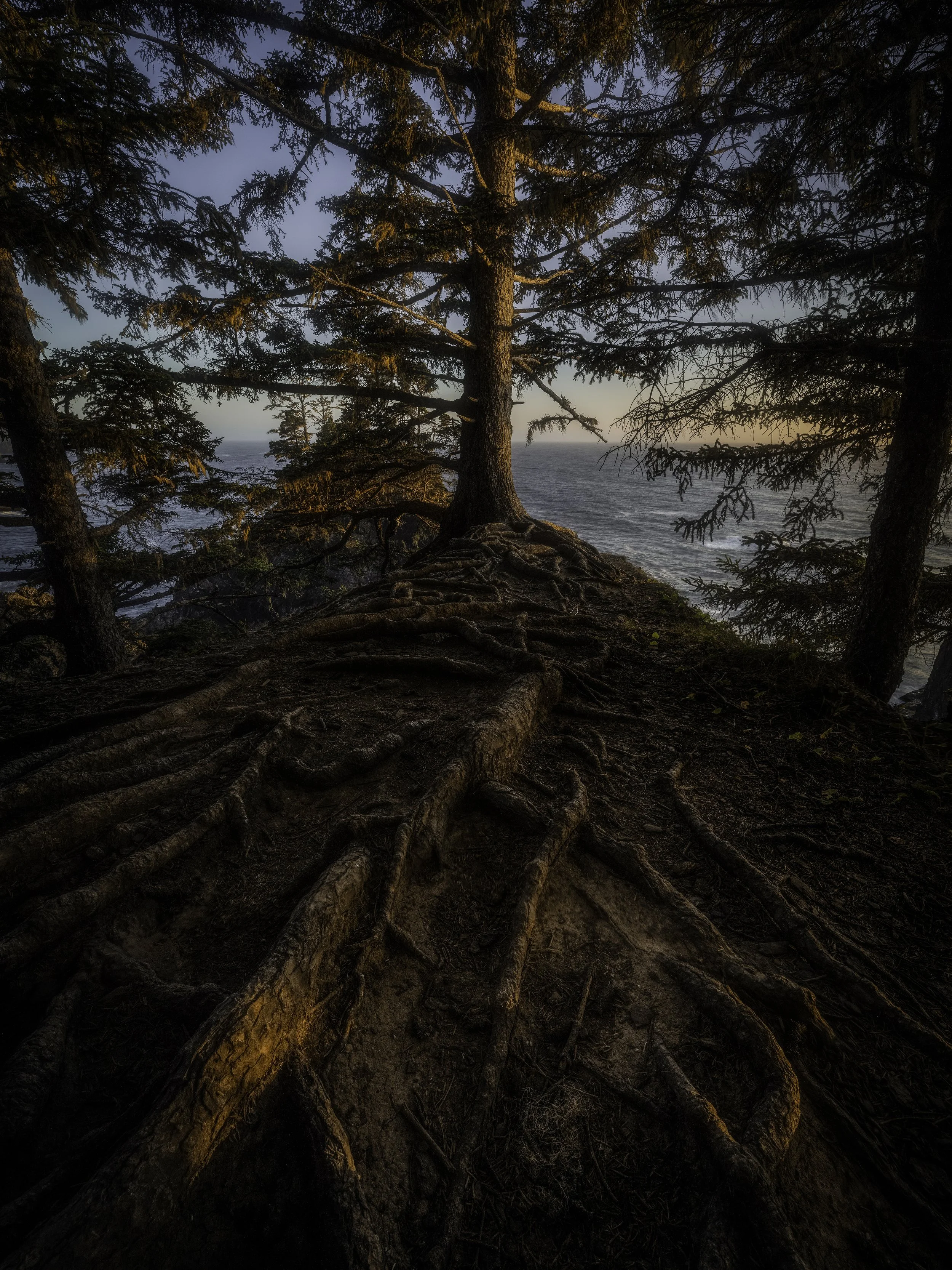 DSCF7550-small.jpg