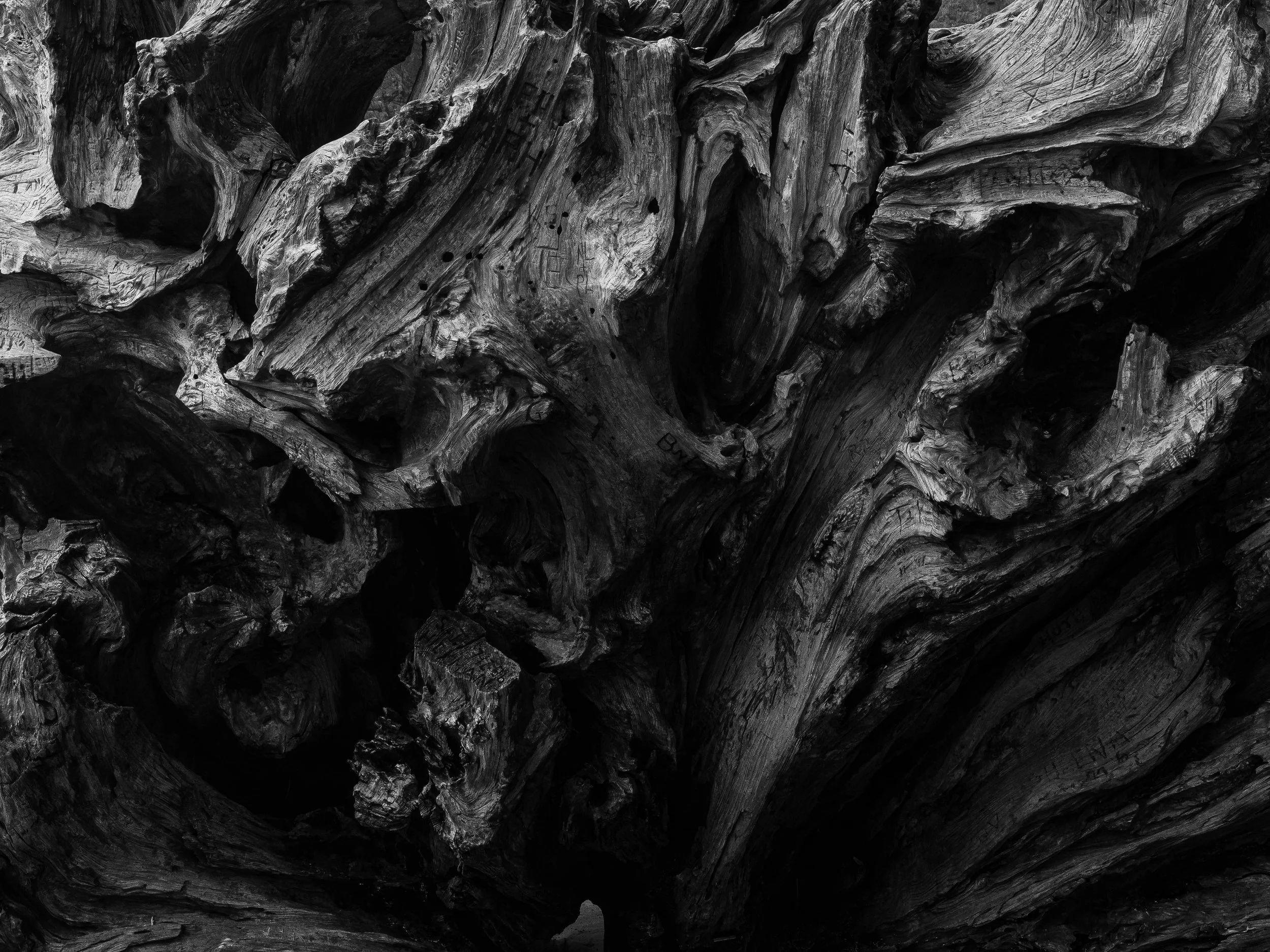 DSCF7574 small.jpg