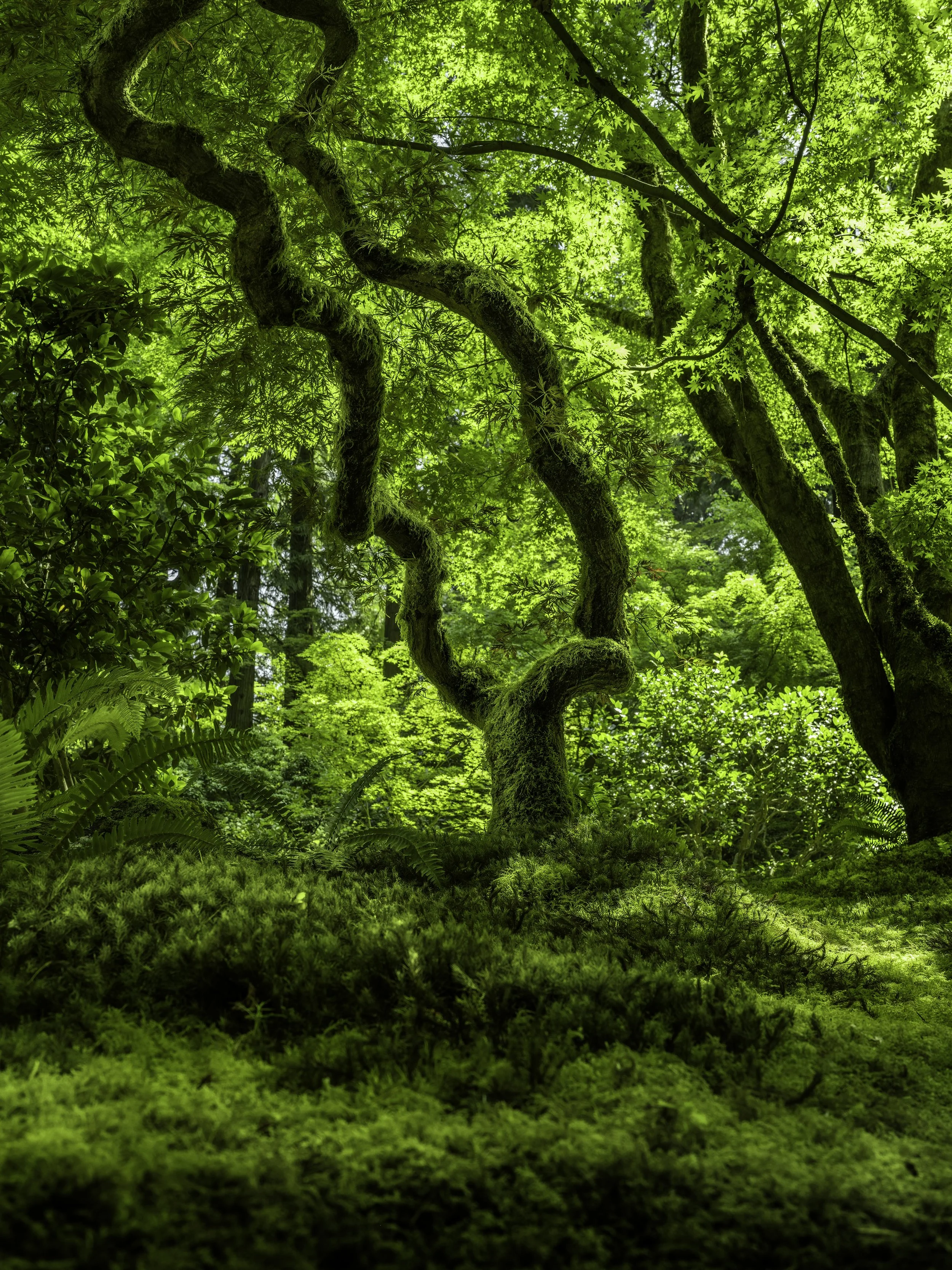 DSCF7767-small.jpg