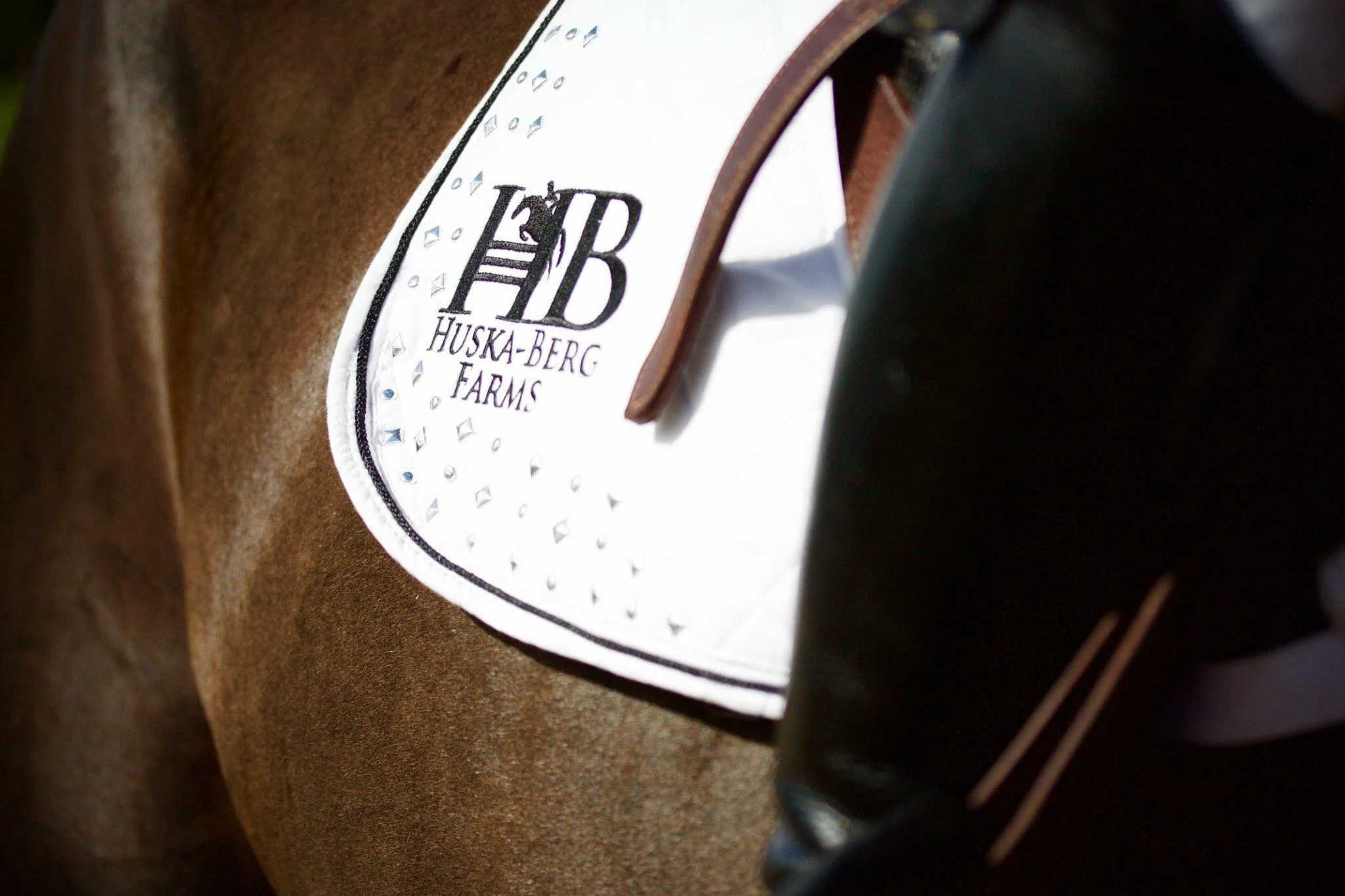 saddle pad.jpg