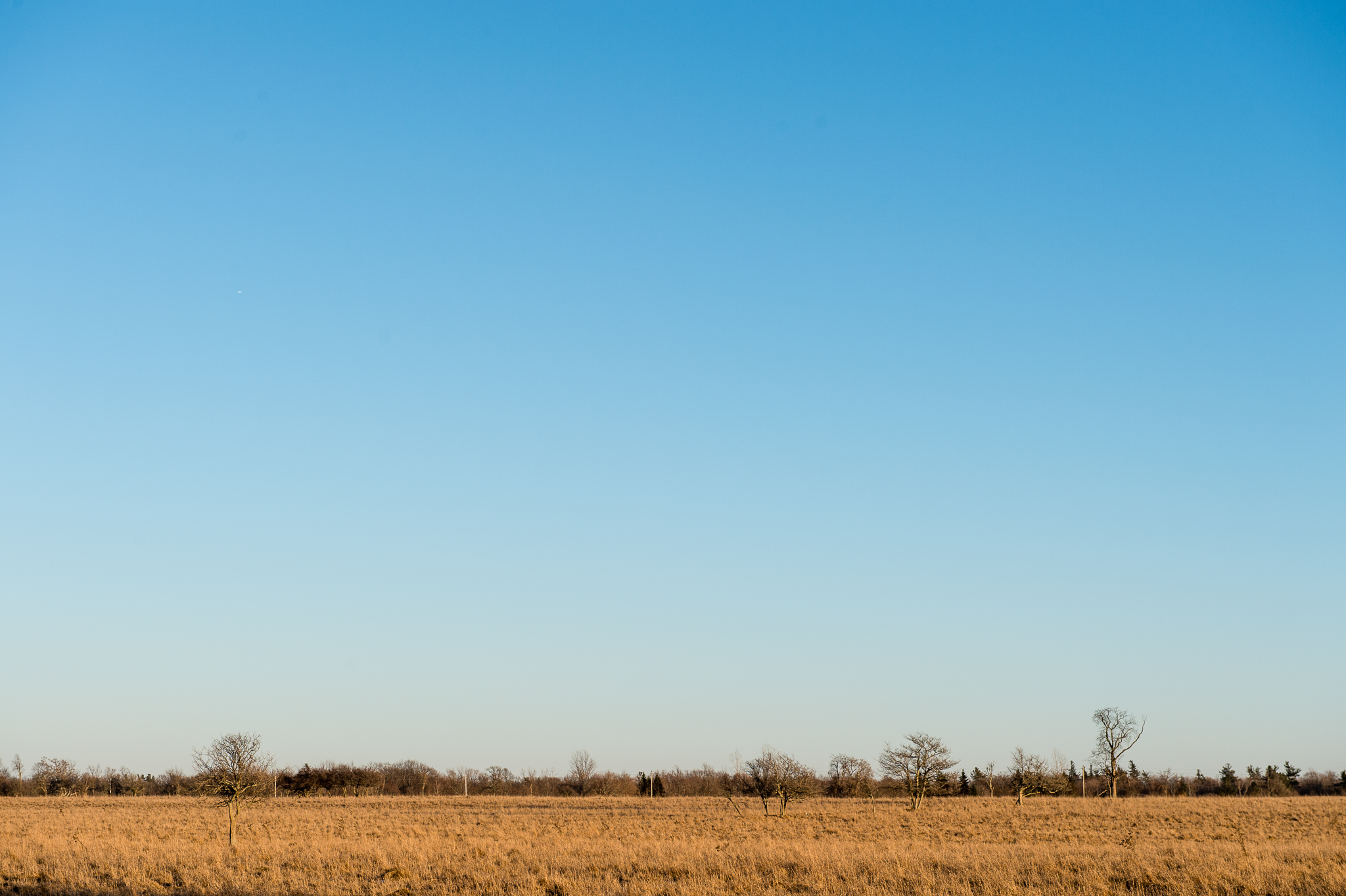 _DSC3652.jpg
