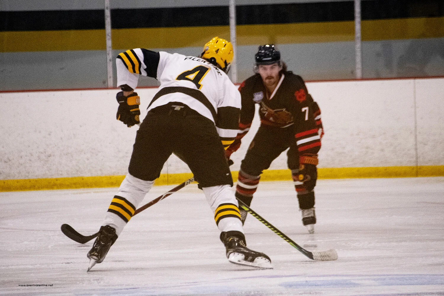 Brent Web - East Coast Wizards 20.jpg