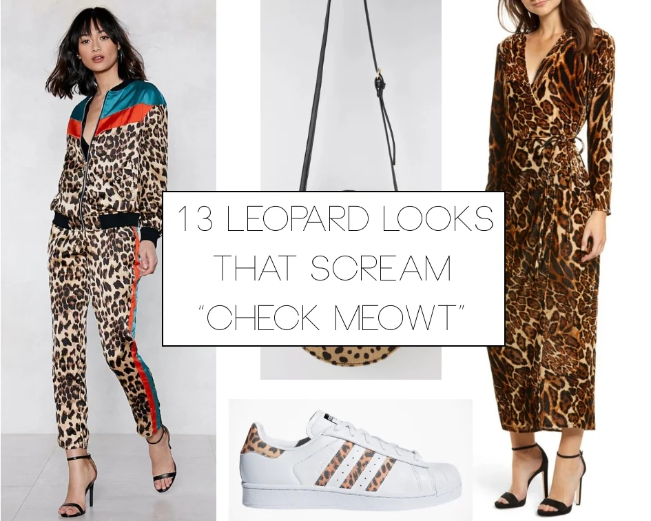 A Purrrrfect Way to Spice Up Your Wardrobe