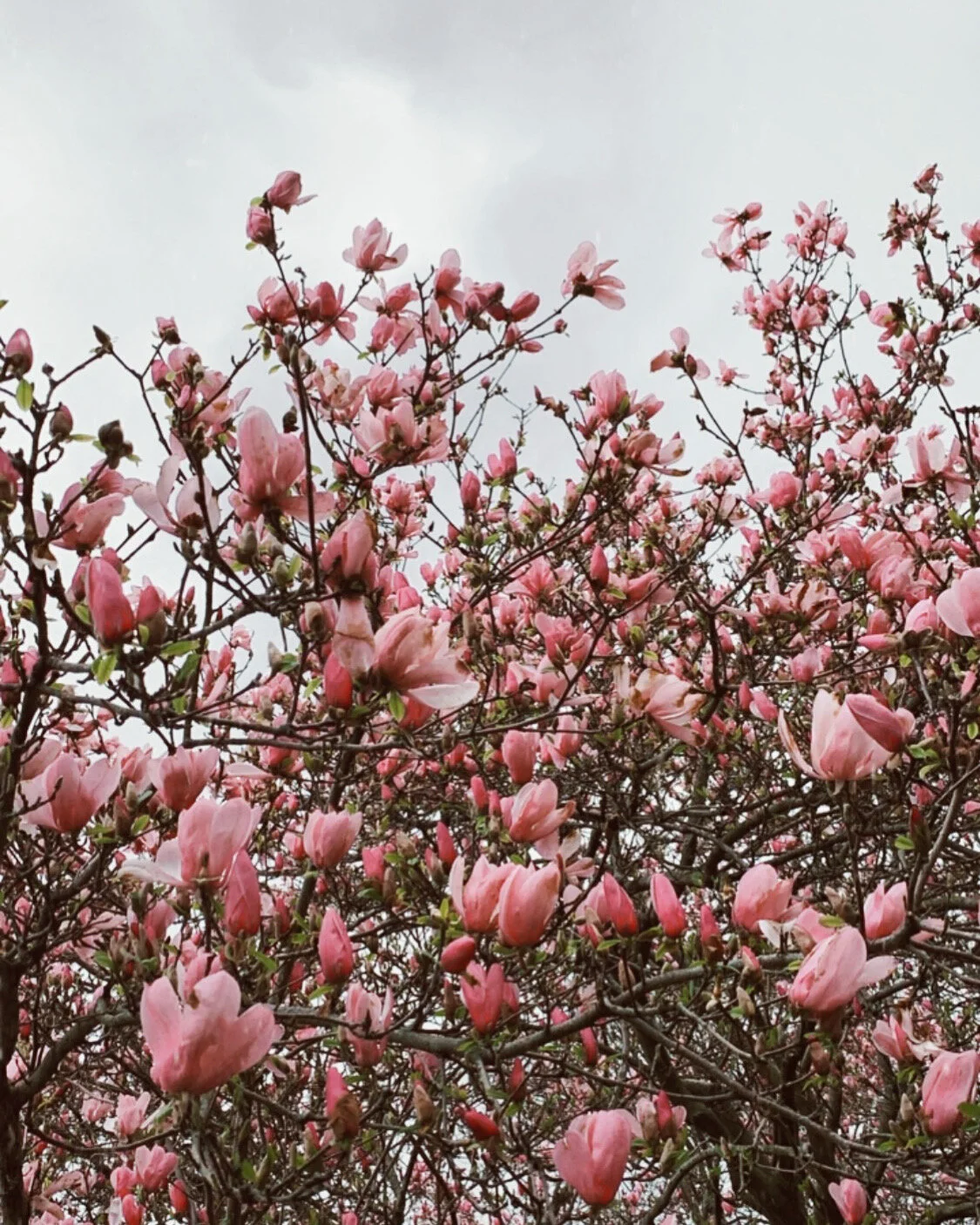 A Little Advice from Someone Who’s Been There