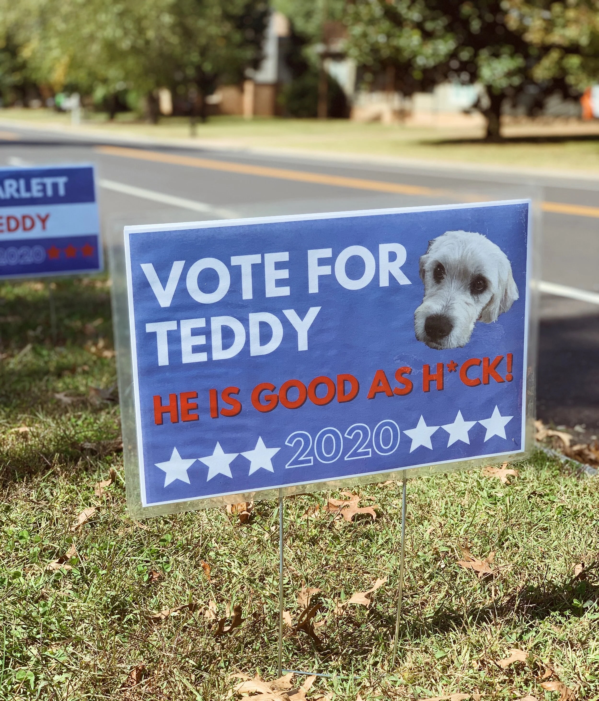 DIY Campaign Signs...for Your Pet!