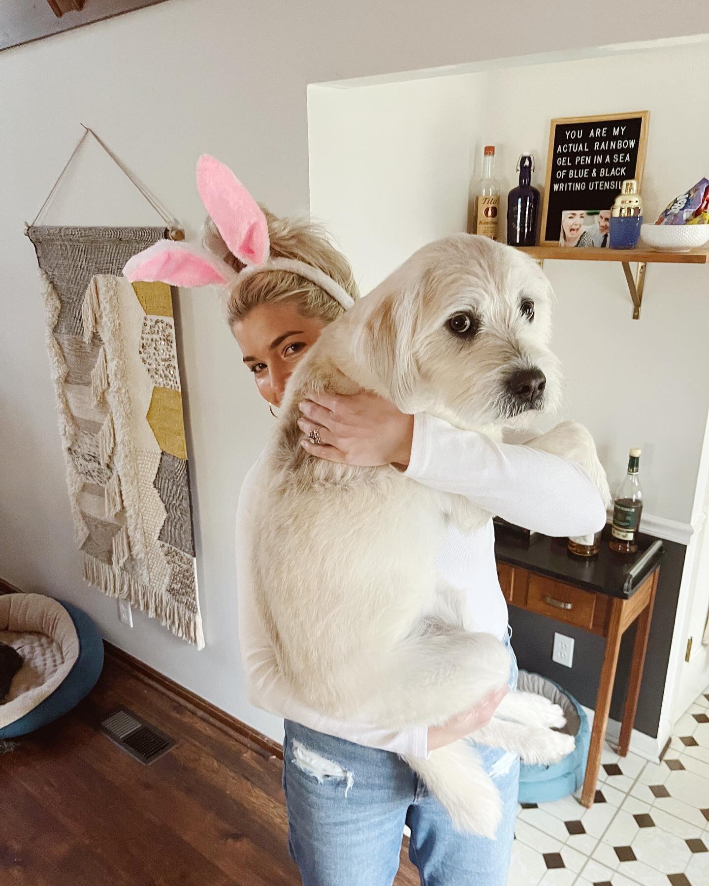 Some Easter snaps 📸 And I know what you&rsquo;re thinking: of course he has 2 beds. I want him to be comfortable &mdash; I&rsquo;m not a monster. 

(He actually has 3 beds lol)