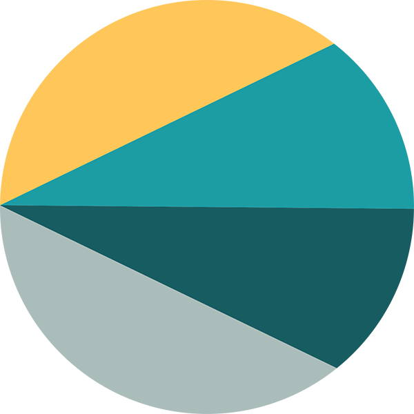 PMP icon.png