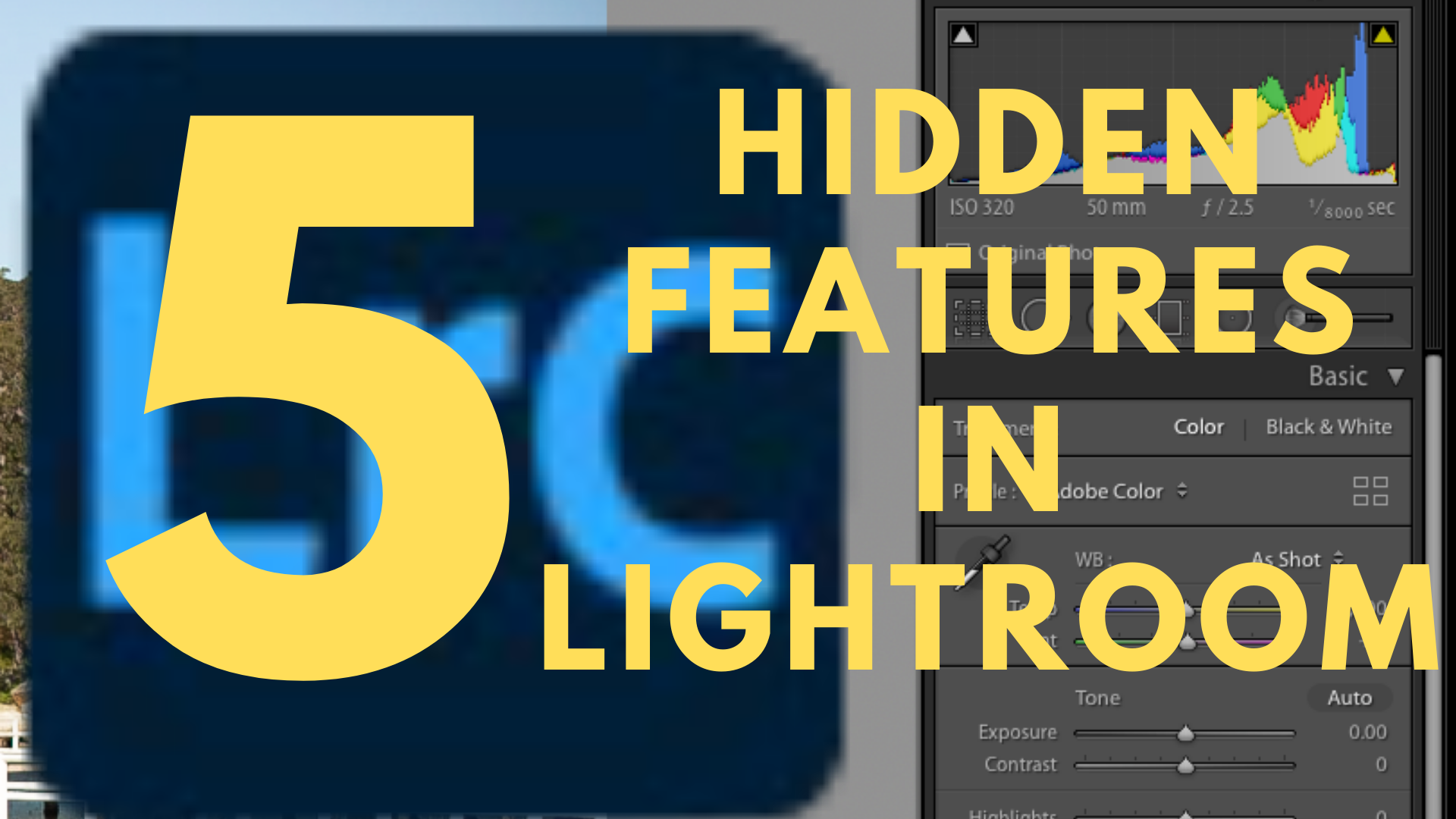 5 features in adobe lightroom you probably don't know exist.png