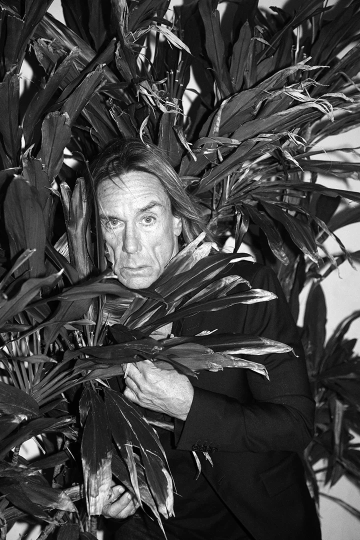 Iggy Pop