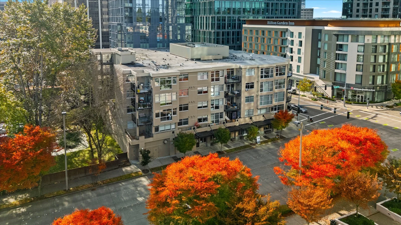 05-DJI_20251021121123_0343_D.jpg