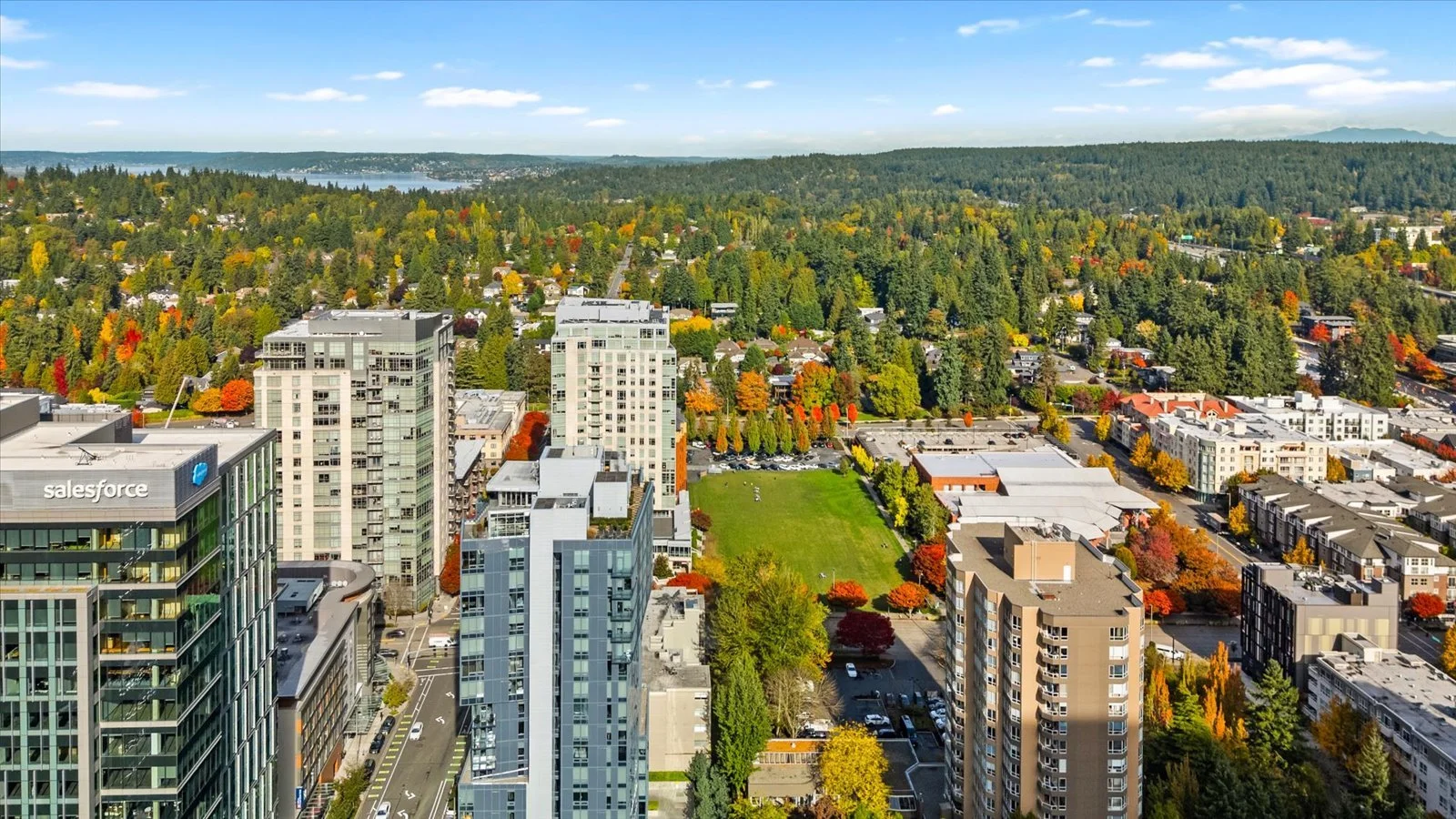 11-DJI_20251021121518_0370_D.jpg