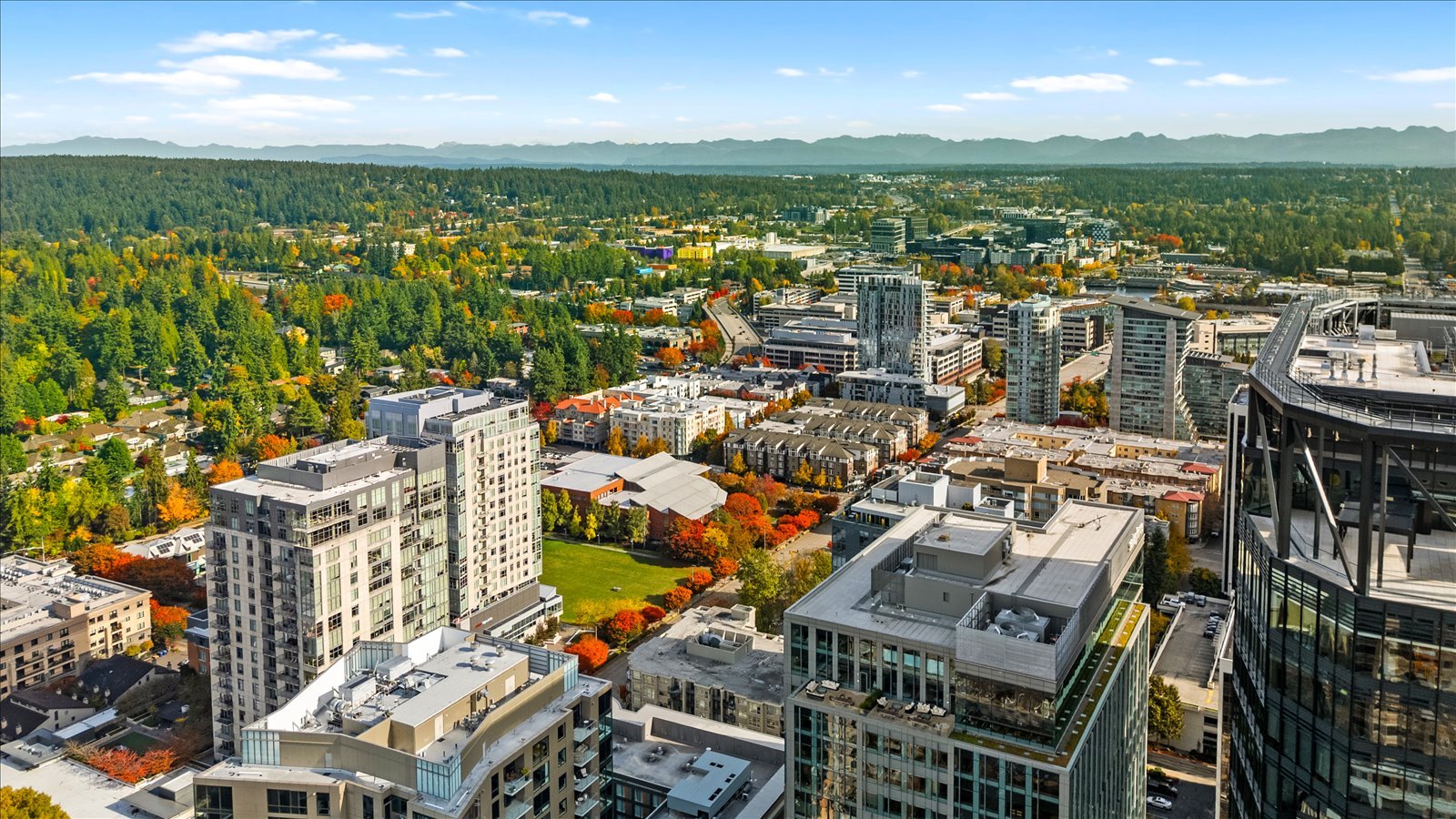 13-DJI_20251021121644_0380_D.jpg