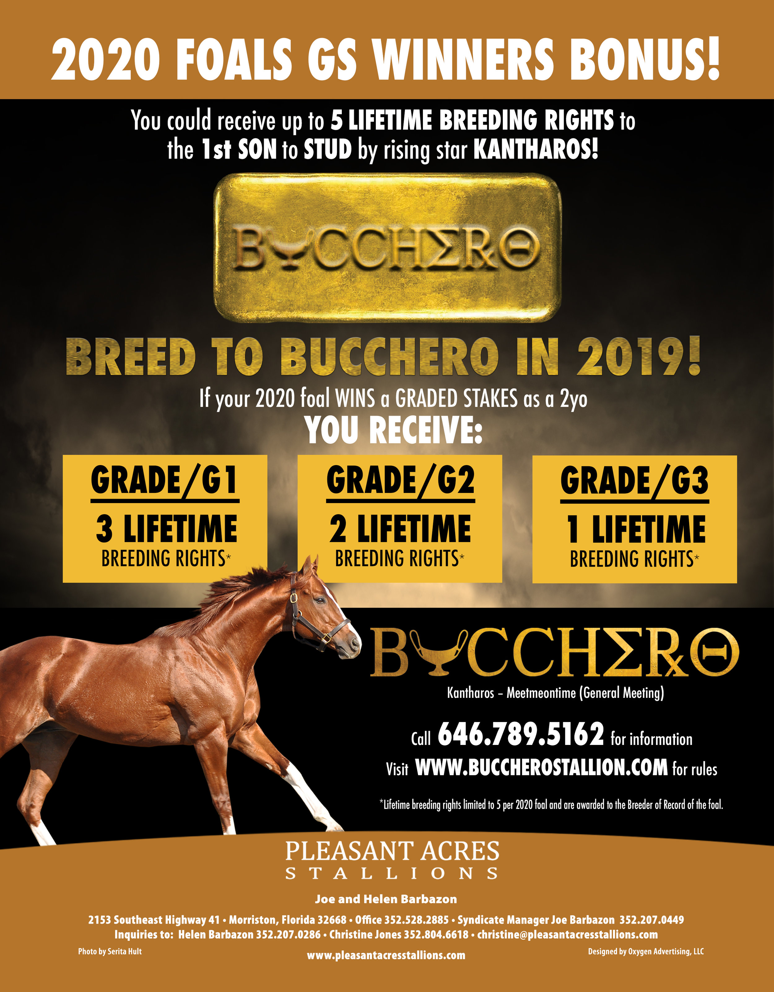 2019 BUCCHERO BONUS Ad (1).jpg