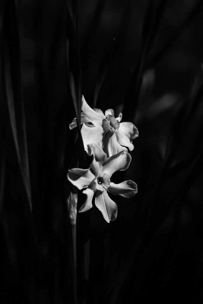 DRH_0012.jpg