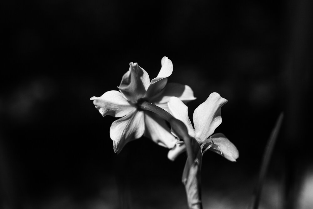 DRH_0013.jpg