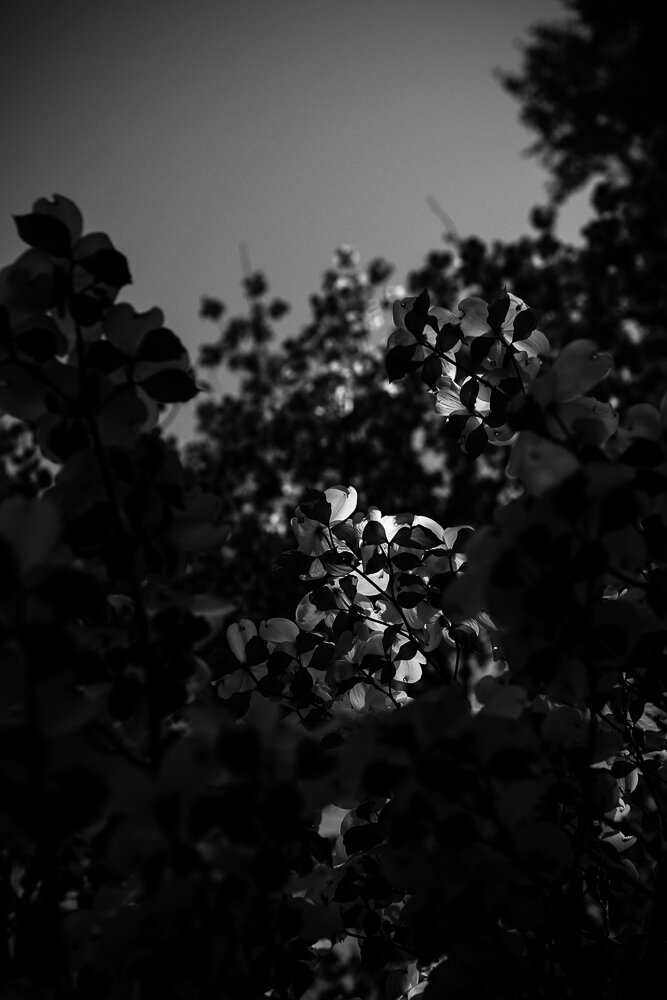 DRH_0026.jpg