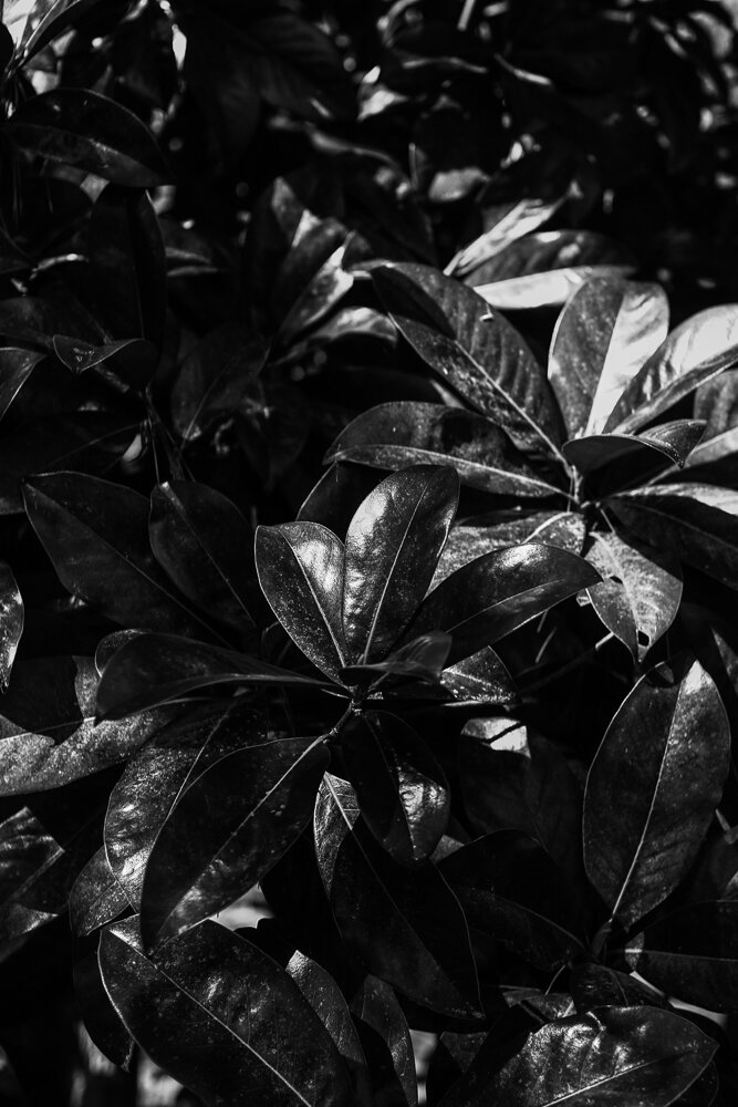 DRH_0035.jpg