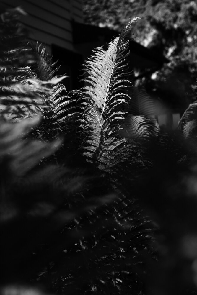 DRH_0283.jpg