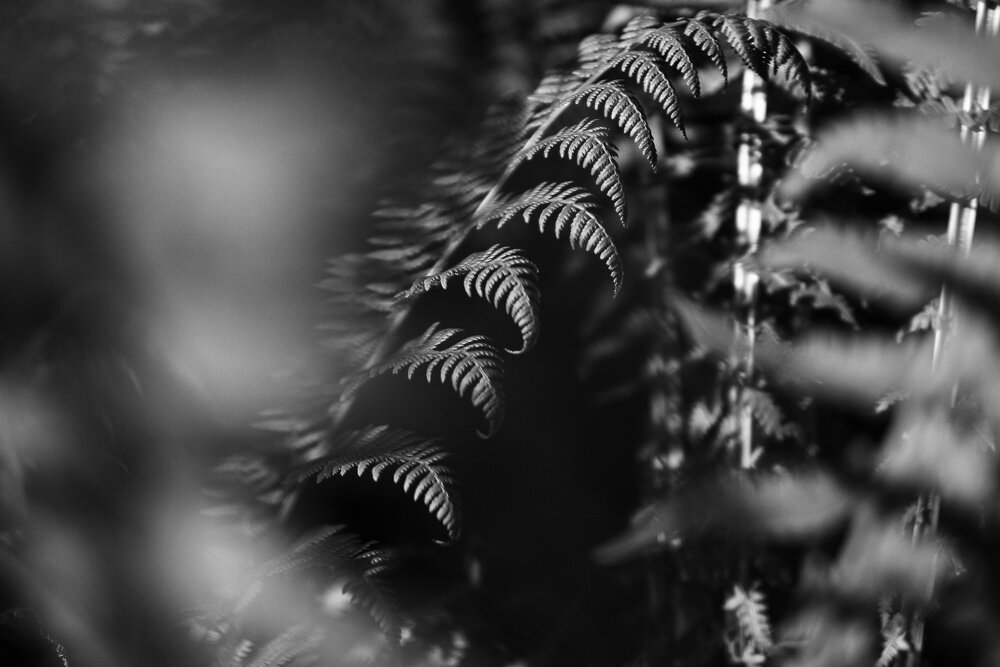 DRH_0309.jpg