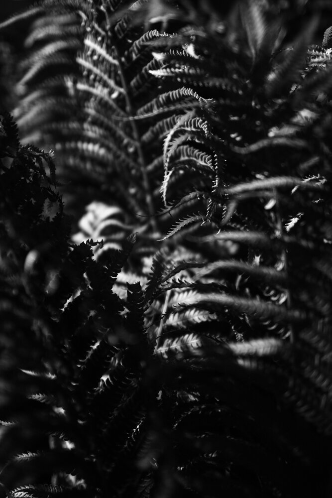 DRH_0317.jpg