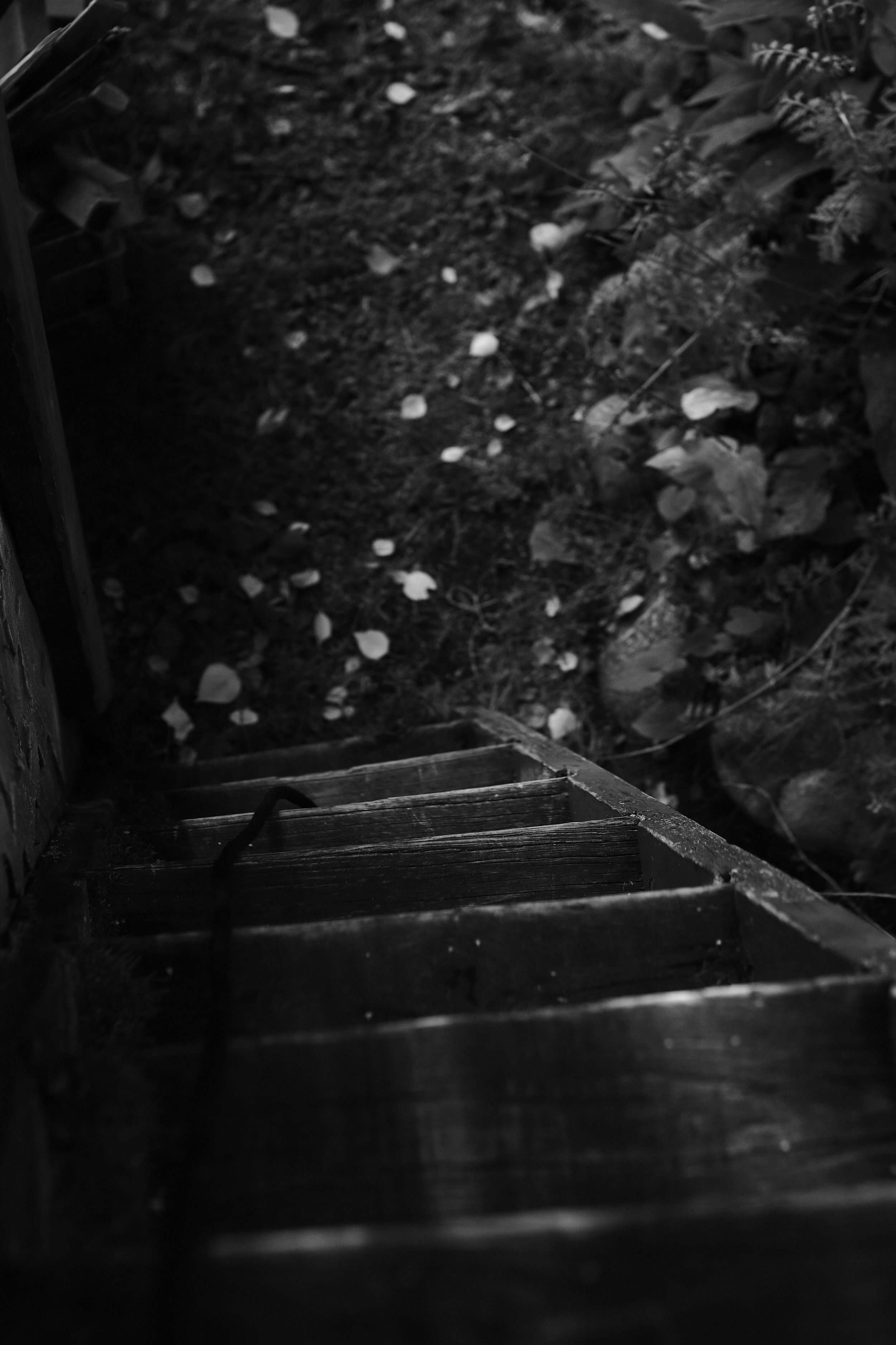 DRH_2360.jpg
