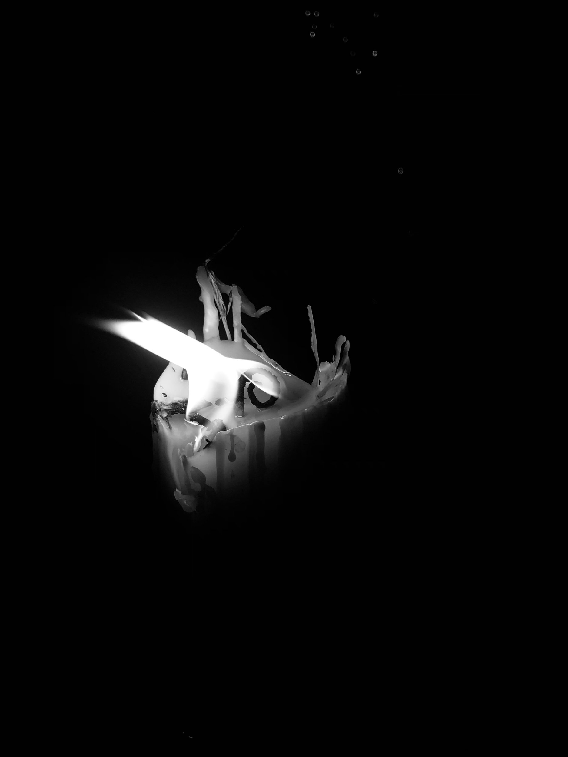 IMG_1083.jpeg