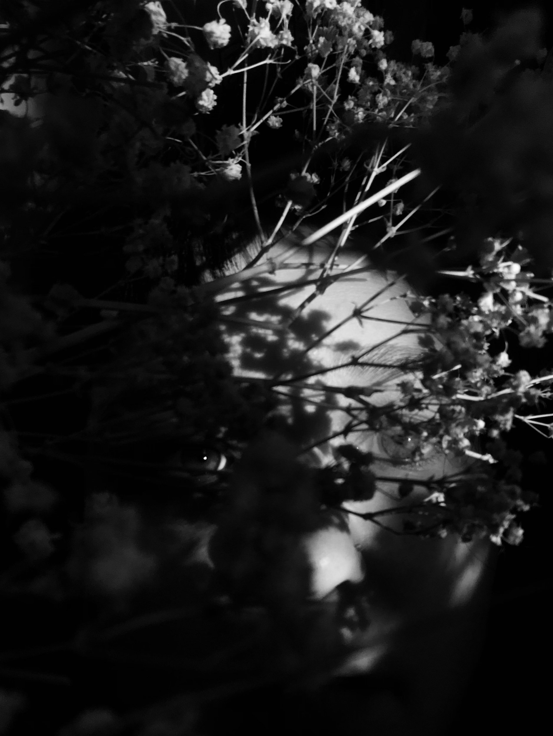 IMG_8874.jpeg
