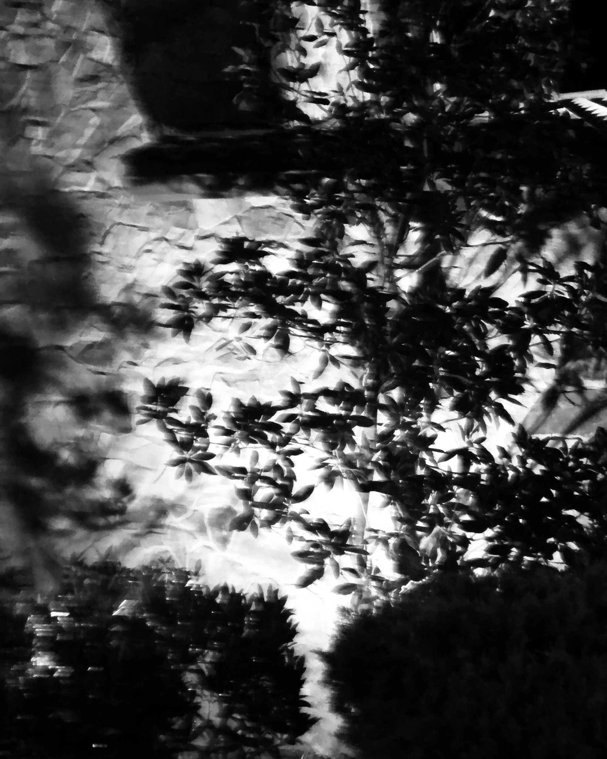 254DBAA7-F3FC-4EC2-AADE-E4D61373F296.jpeg