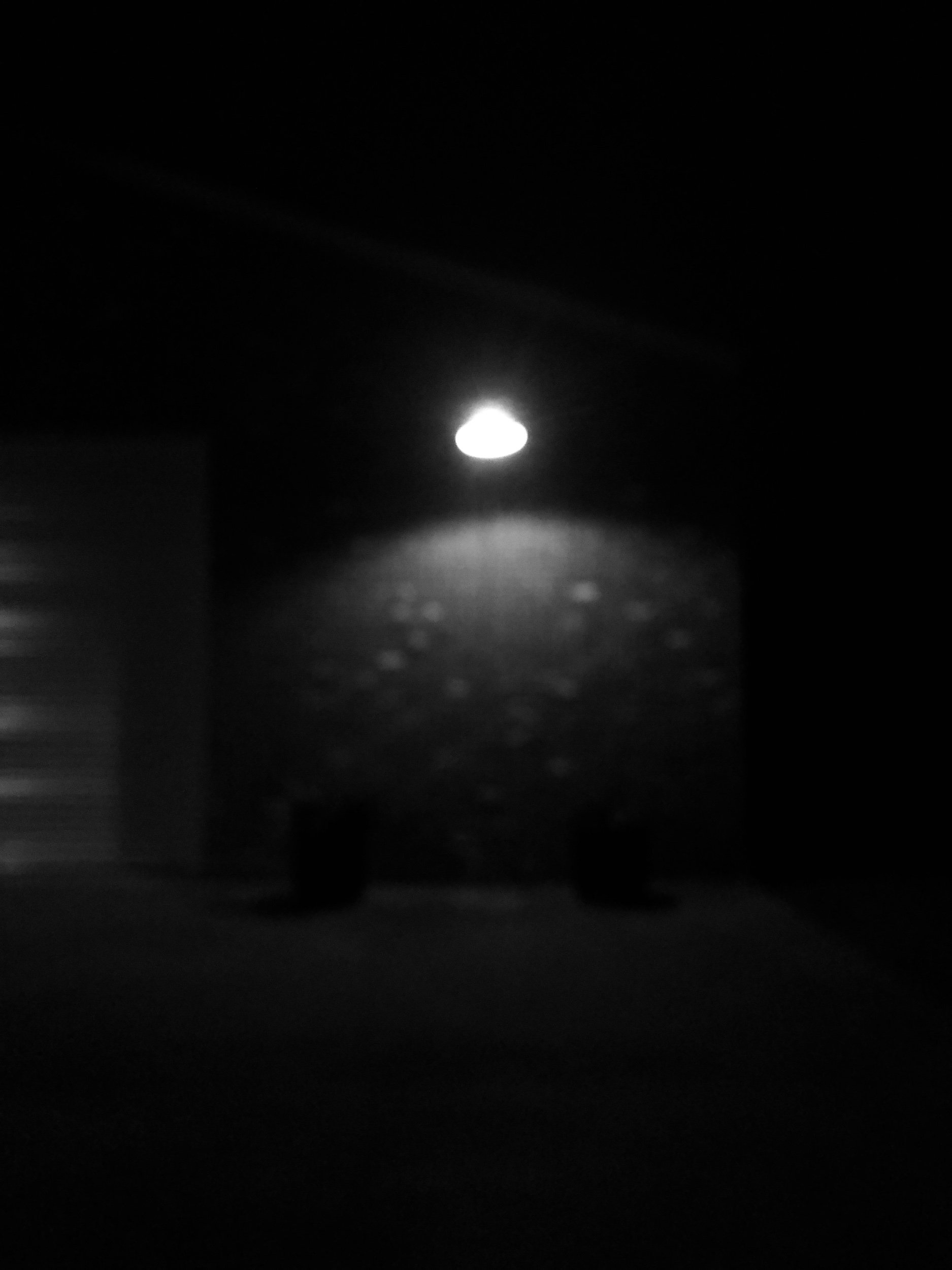 IMG_4120.jpeg