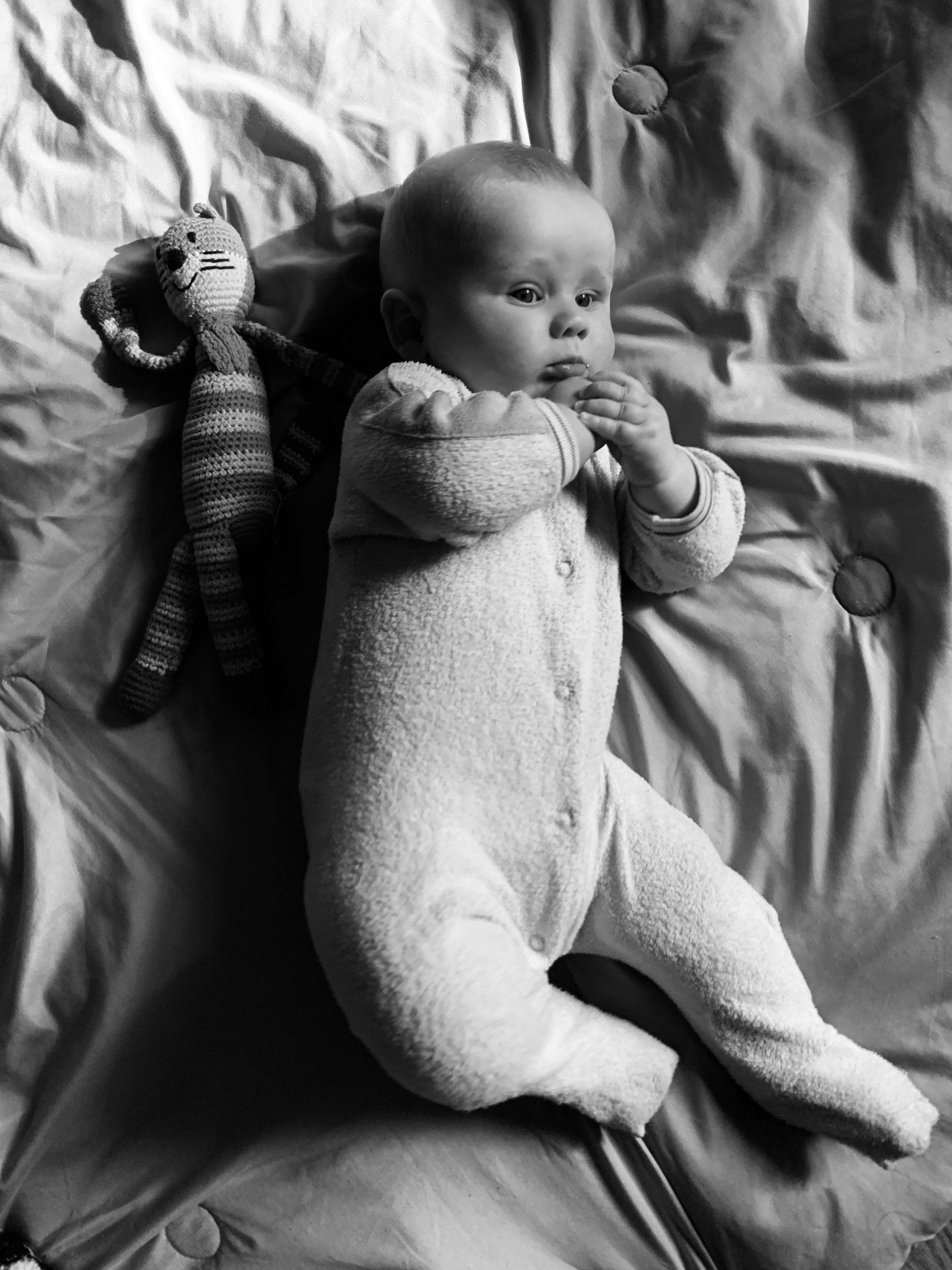 IMG_5307.jpeg