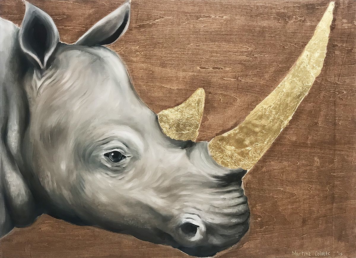 Ceratotherium Simum (White Rhinoceros)