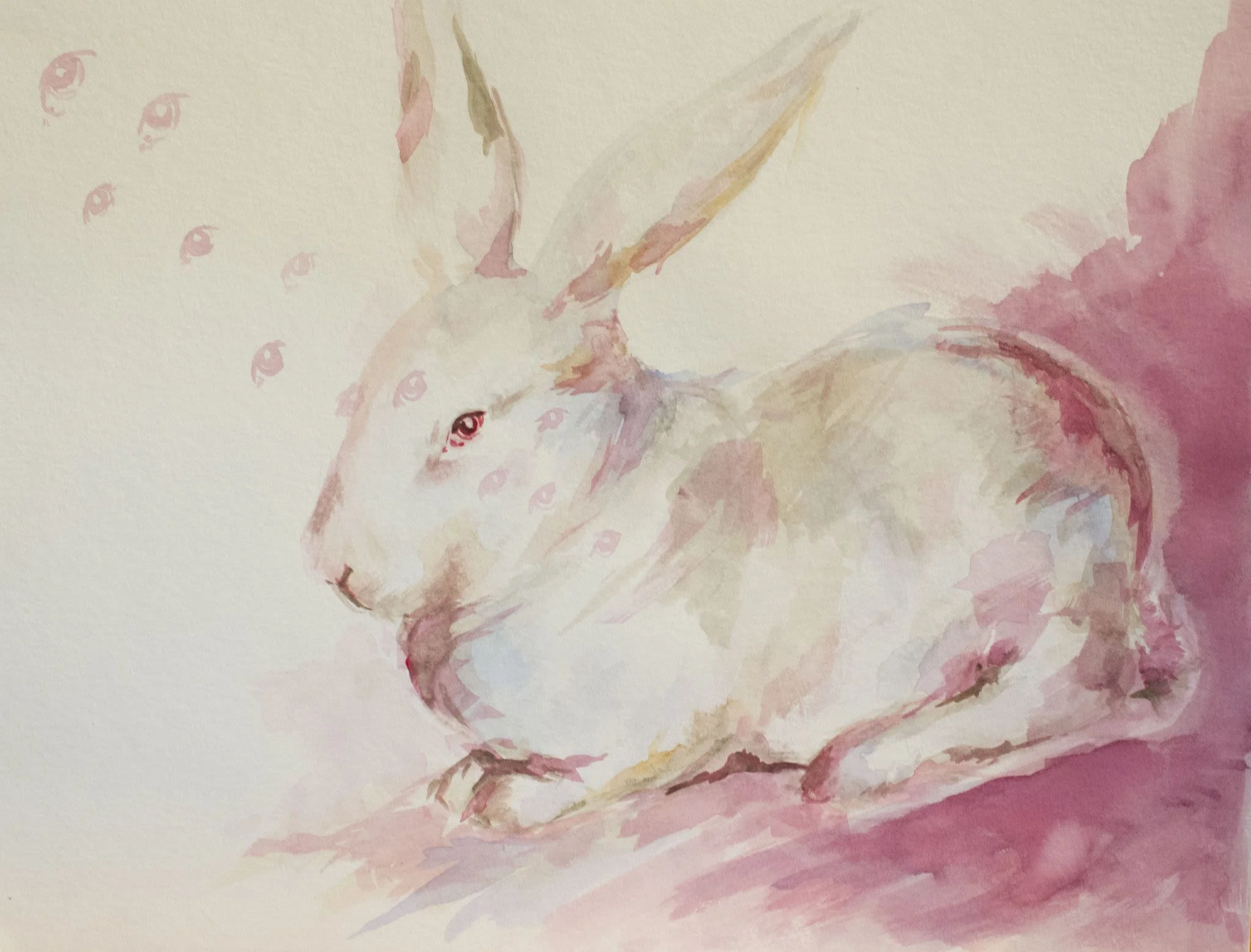 White Rabbit (it's only a dream)