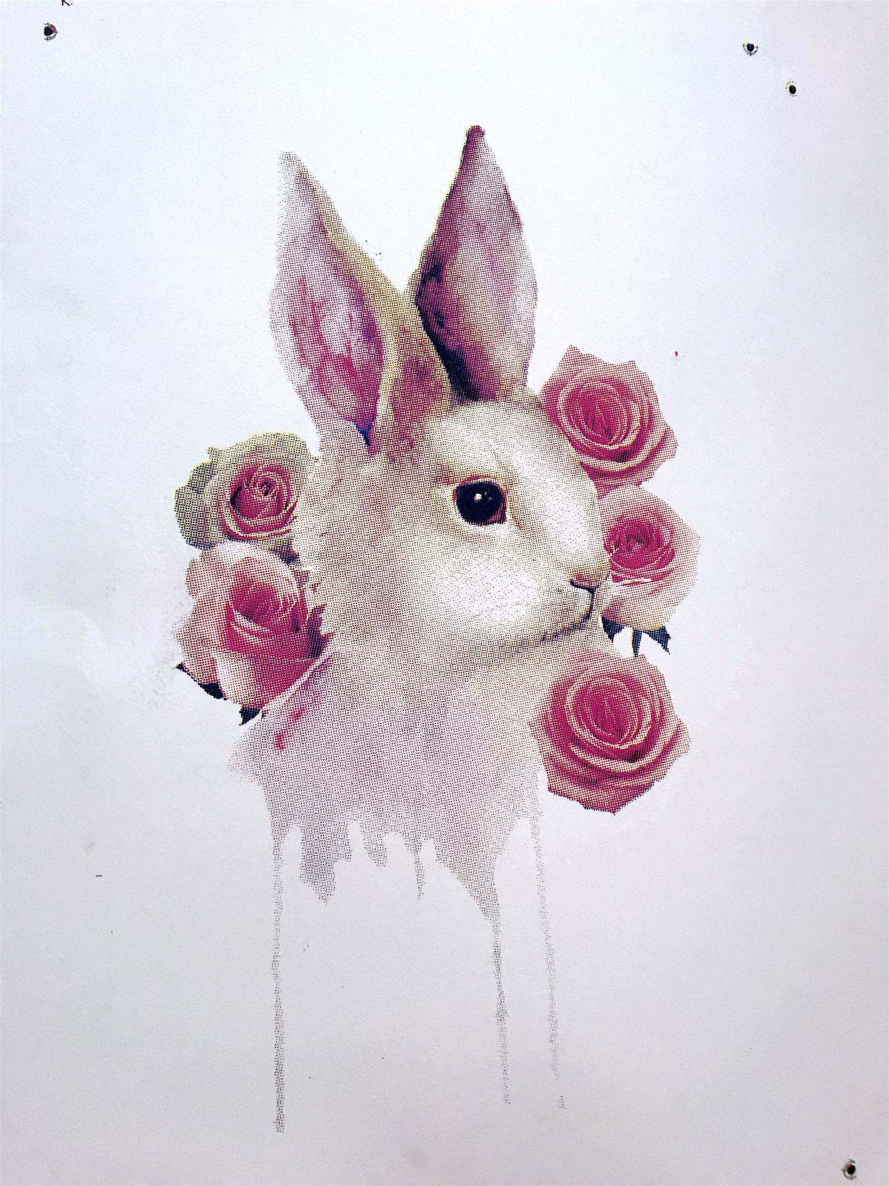 Buns n' Roses