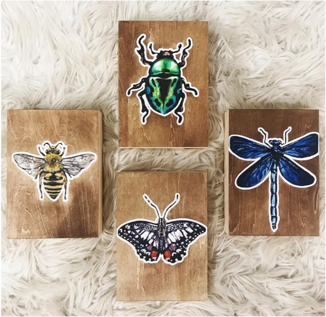 Specimens (series)