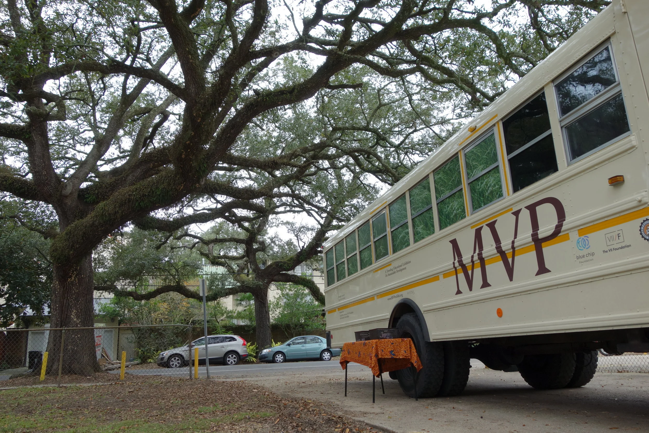 Week 6 &amp; 7: The Big Easy 