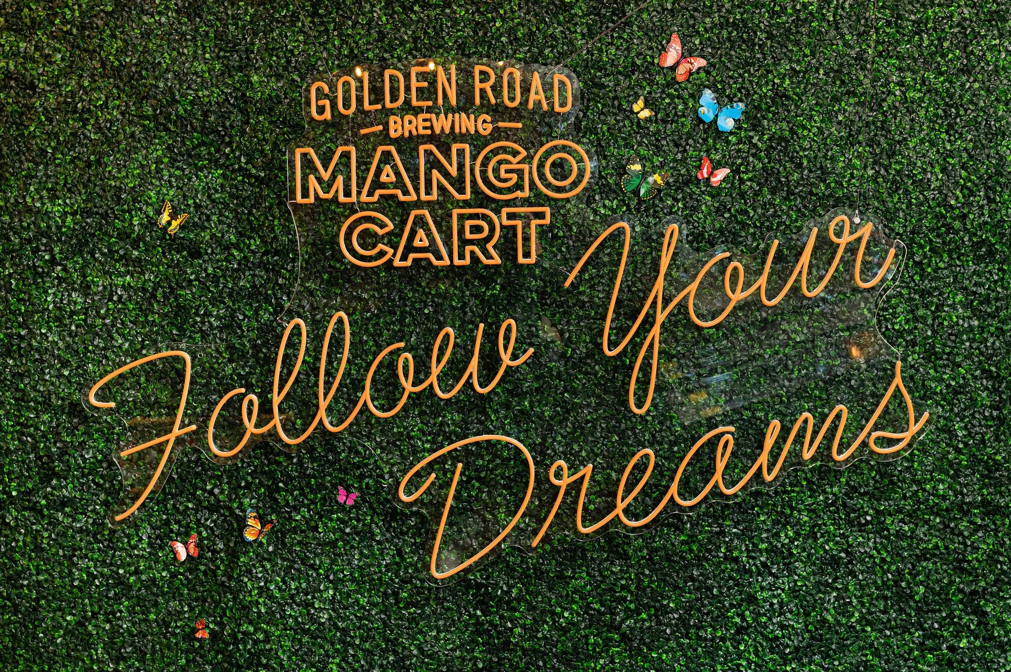 GoldenRoad-FollowYourDreams-14.jpg