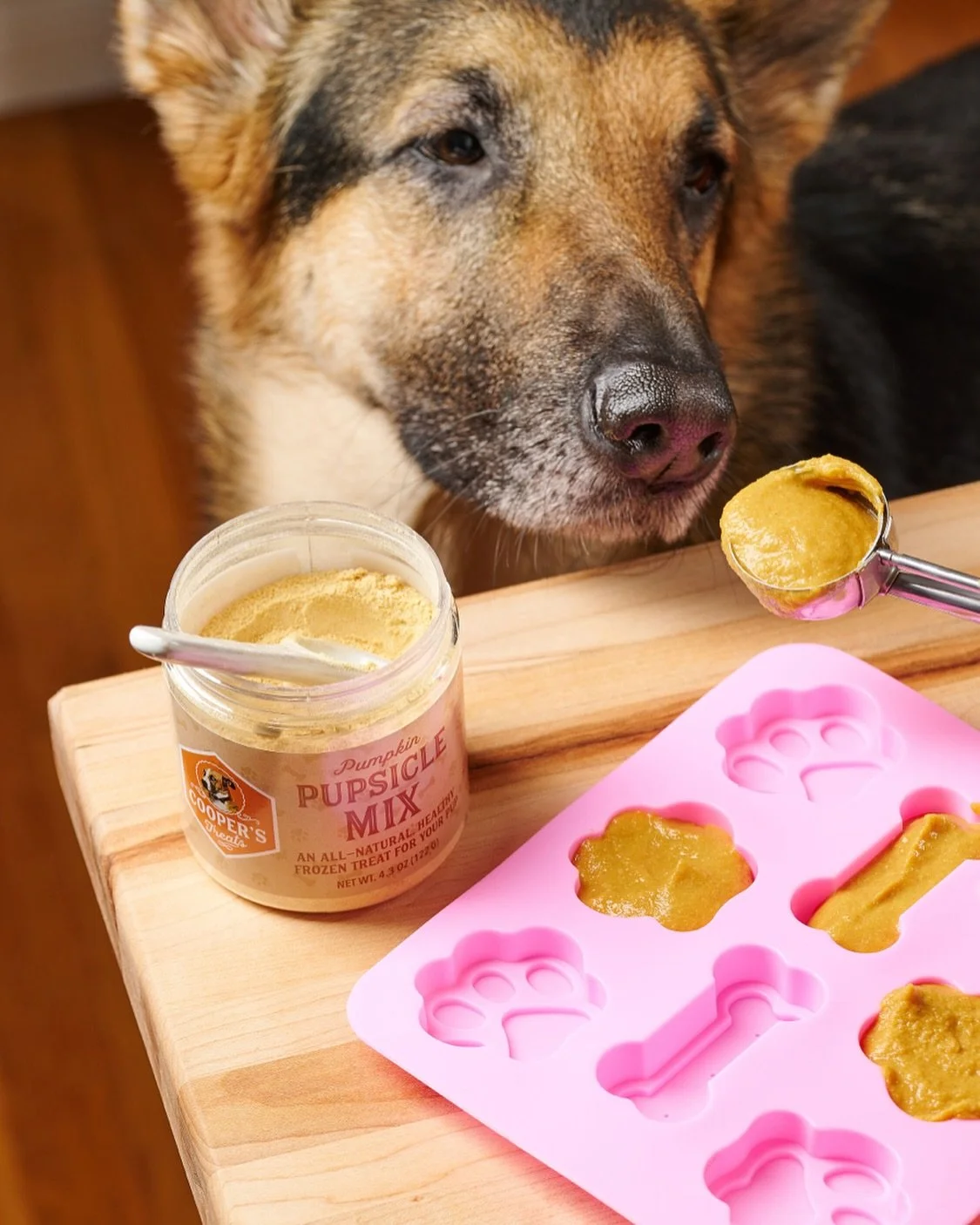 It&rsquo;s the szn for pumpkin pupsicles for the pup ☺️🐾🧡 

Lifestyle photography for @coopersdogtreats 🫶🏼