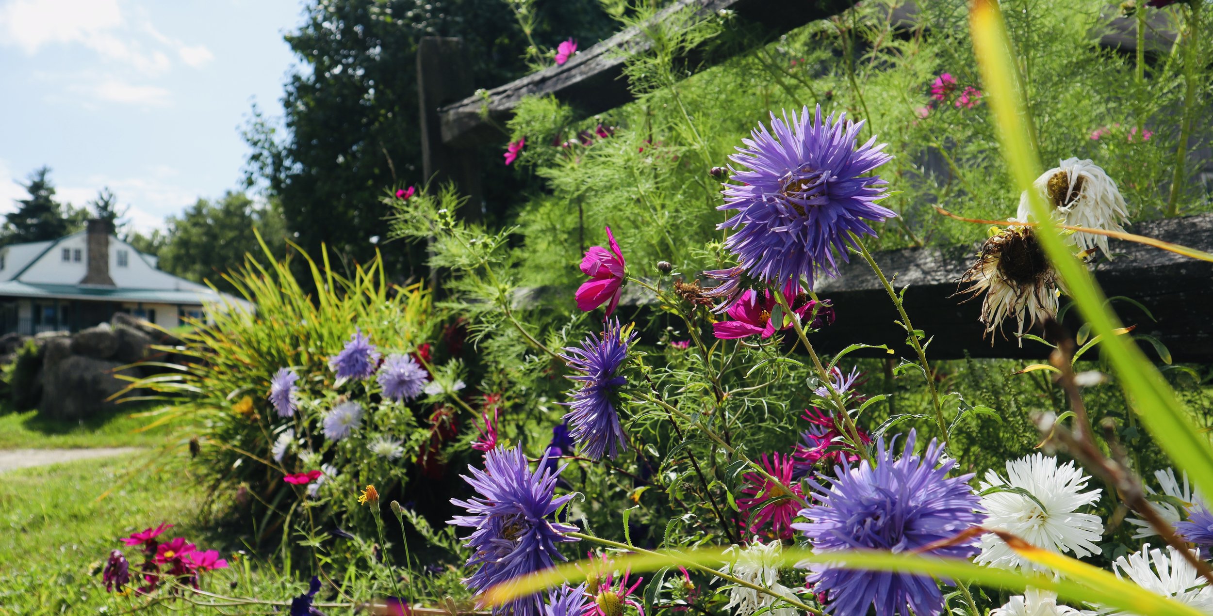 July 2025 Newsletter