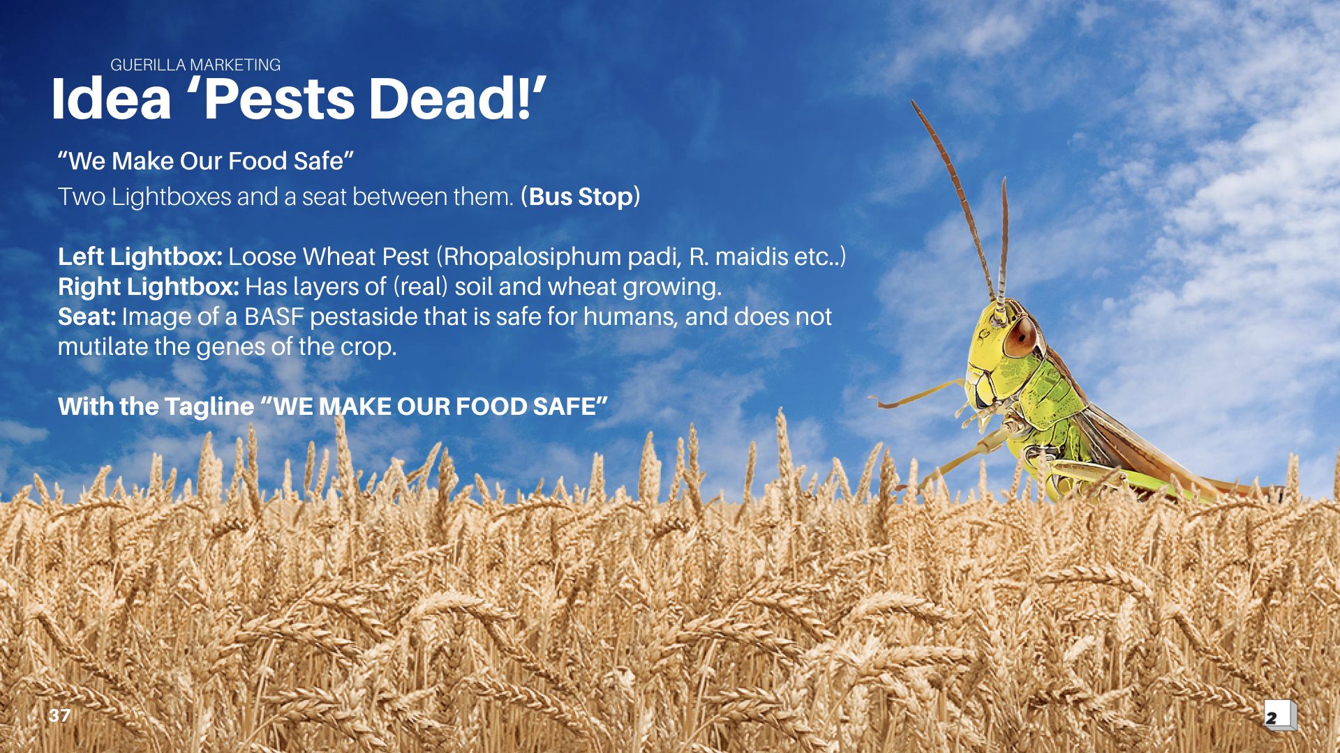 GR2_FINAL PRESENTATION_4.1_1808_II.045.jpeg