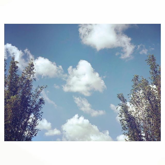 Sky&rsquo;s always beautiful in Florida!