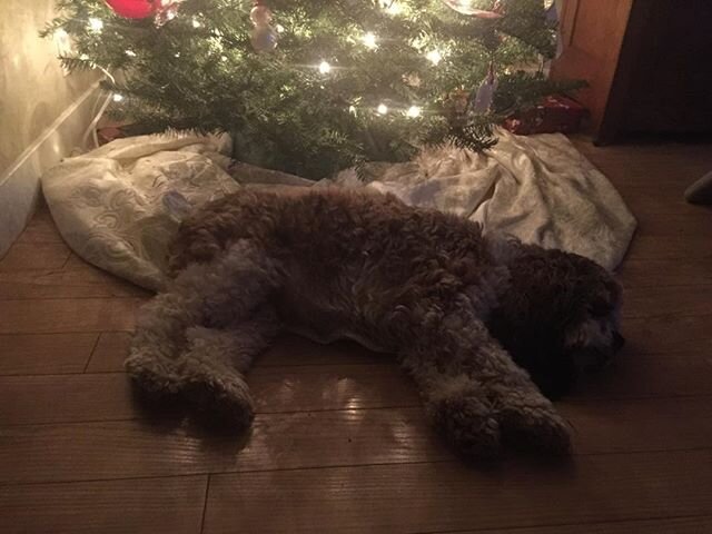 It&rsquo;s so nice to rest after a wonderful Christmas!  Peace to All.