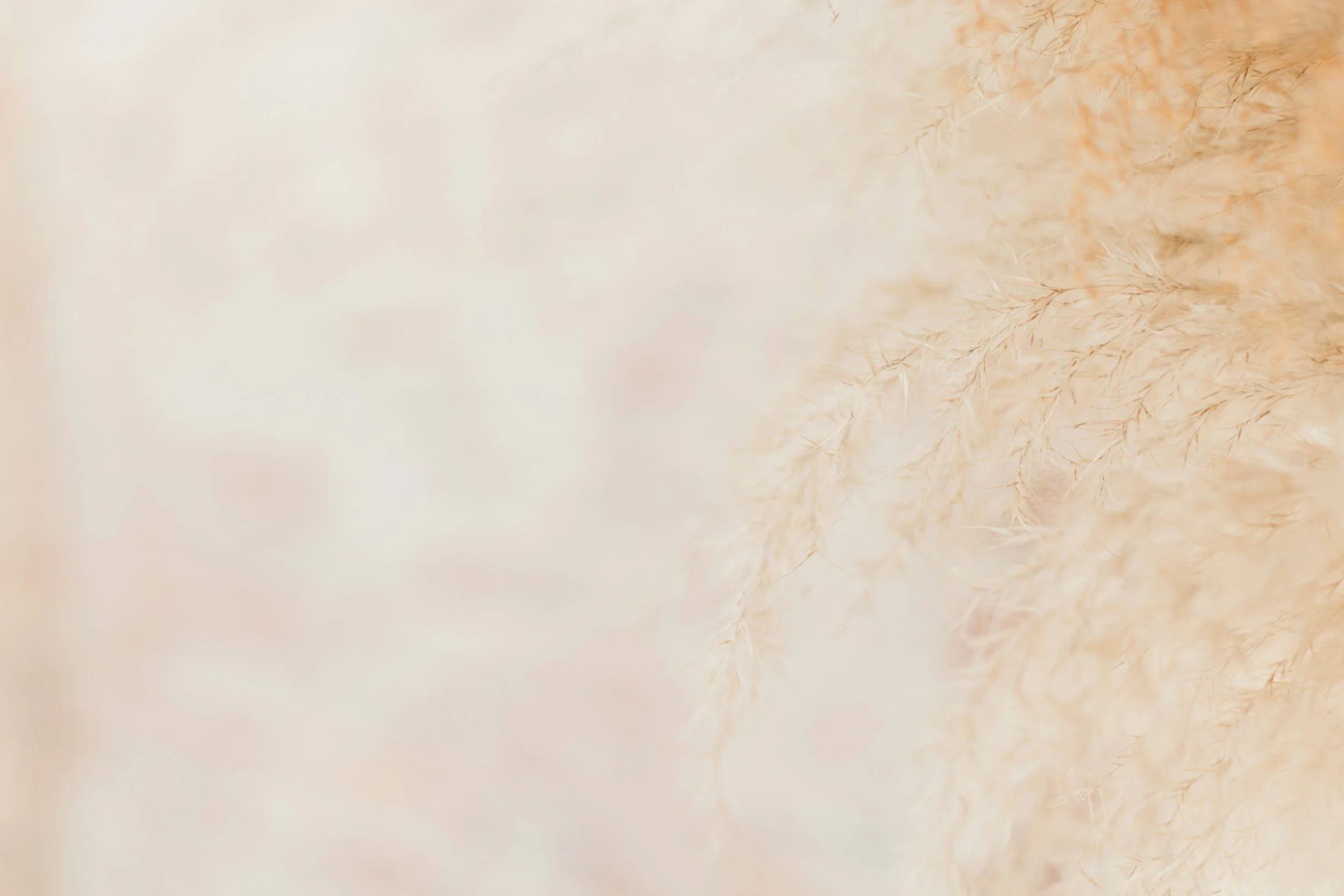 unsplash-image-rBgEsOAxDHw.jpg